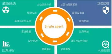 青藤獲2億元B輪融資，研發(fā)大腦扎根光谷加速網(wǎng)絡(luò)安全技術(shù)創(chuàng)新